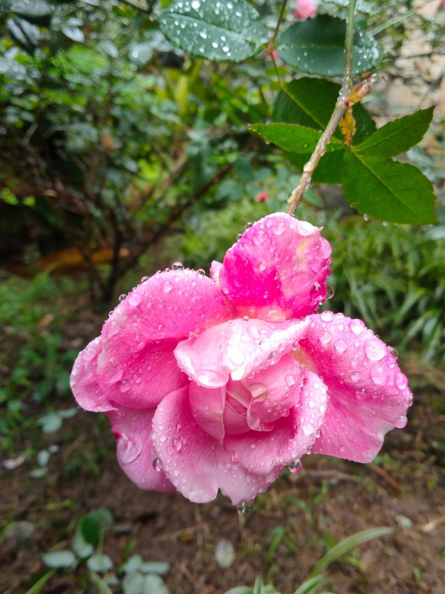 Xuan Son Hang Mua Eco Garden מראה חיצוני תמונה