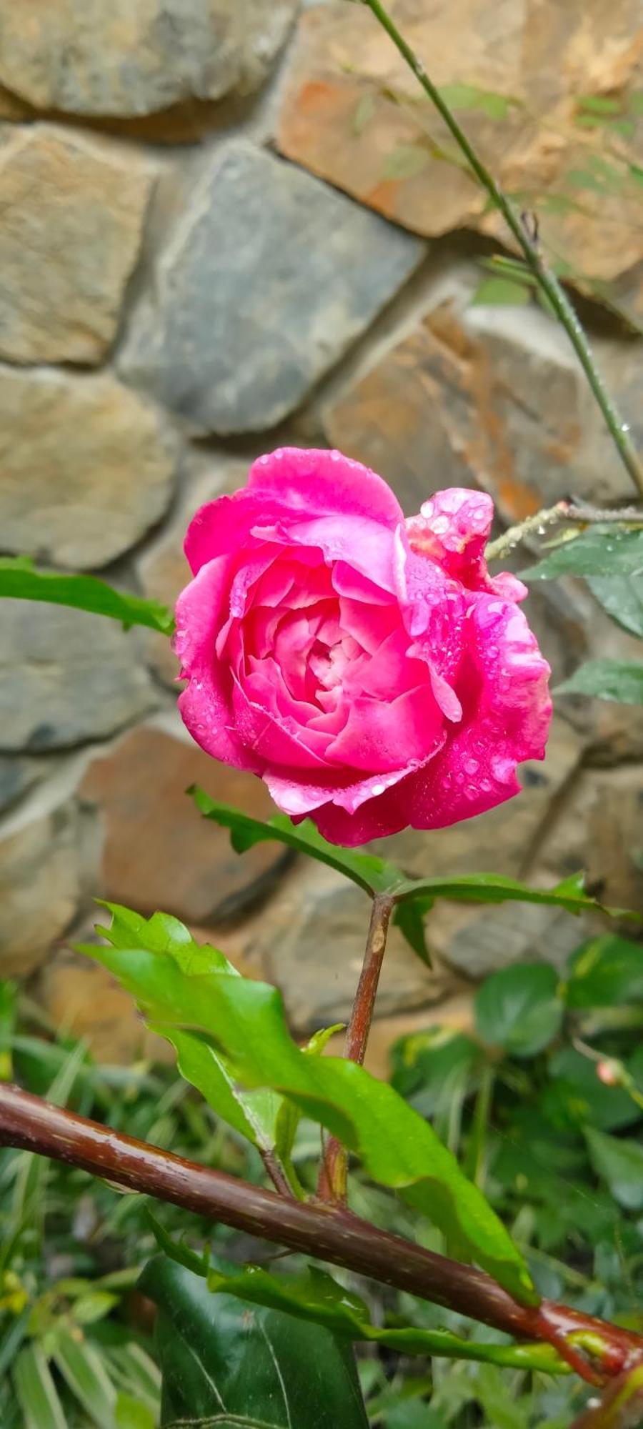 Xuan Son Hang Mua Eco Garden מראה חיצוני תמונה