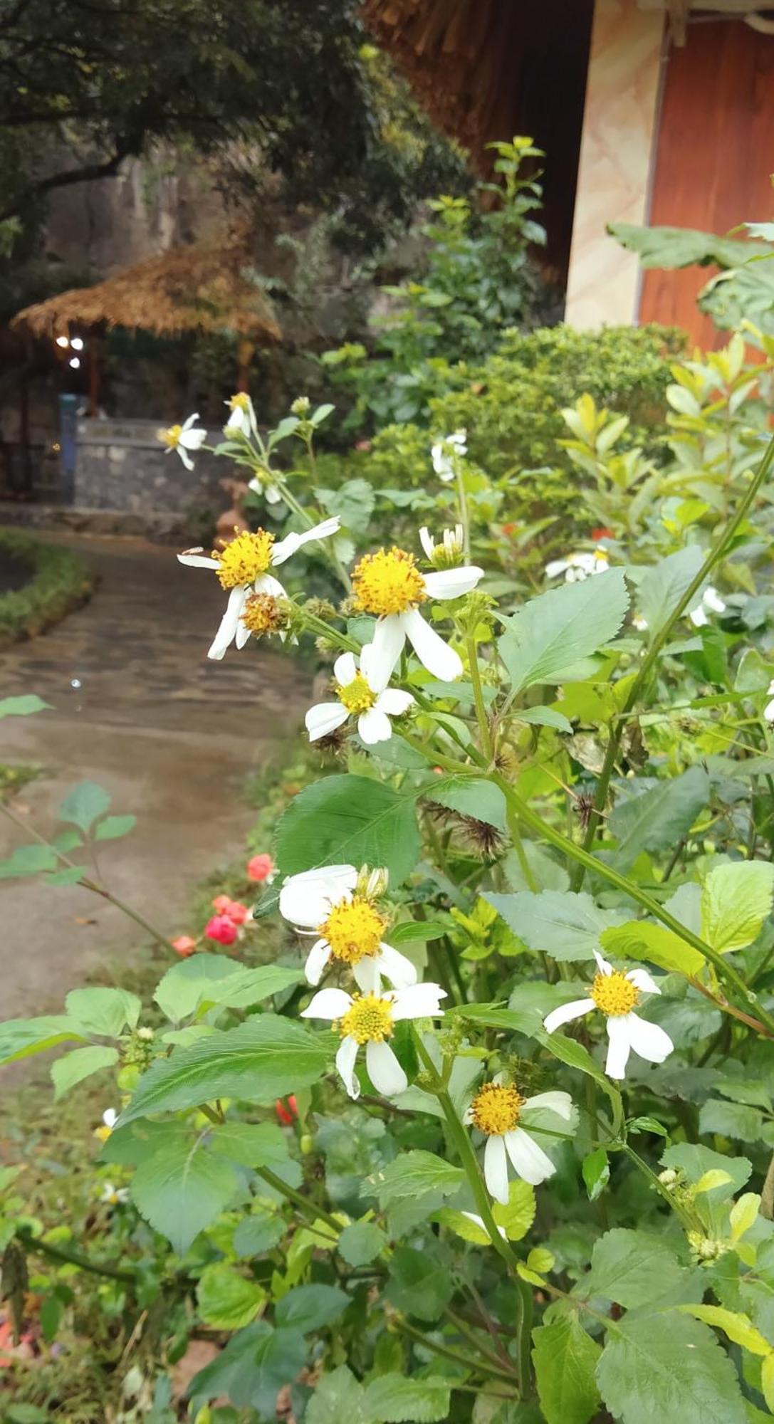Xuan Son Hang Mua Eco Garden מראה חיצוני תמונה