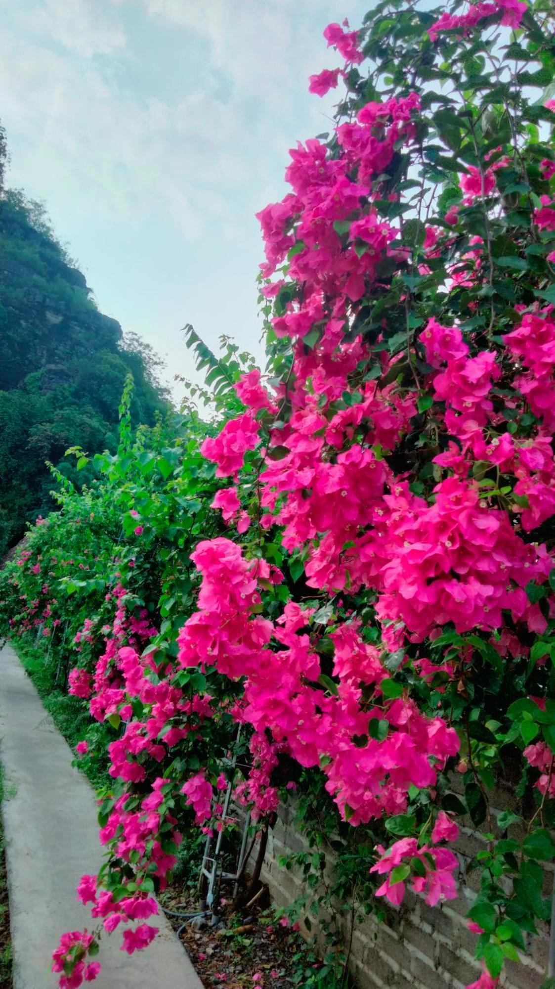 Xuan Son Hang Mua Eco Garden מראה חיצוני תמונה