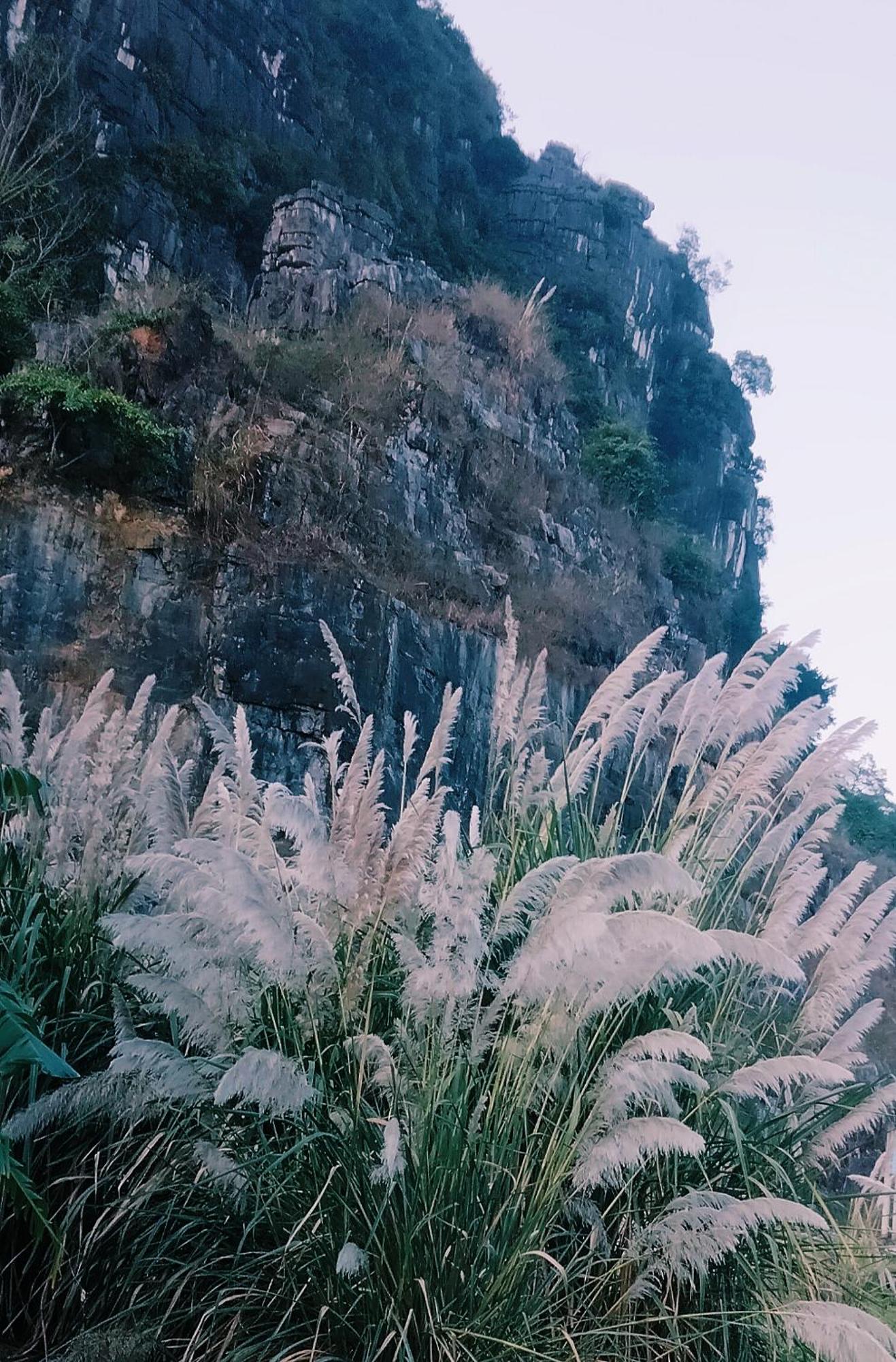 Xuan Son Hang Mua Eco Garden מראה חיצוני תמונה