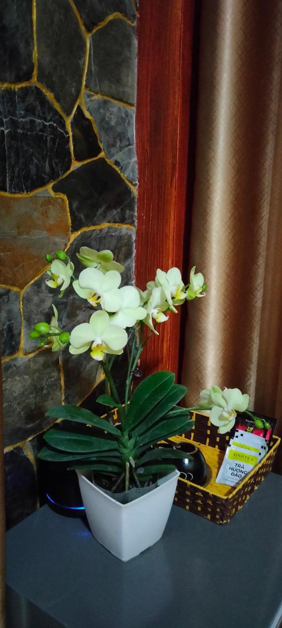Xuan Son Hang Mua Eco Garden מראה חיצוני תמונה