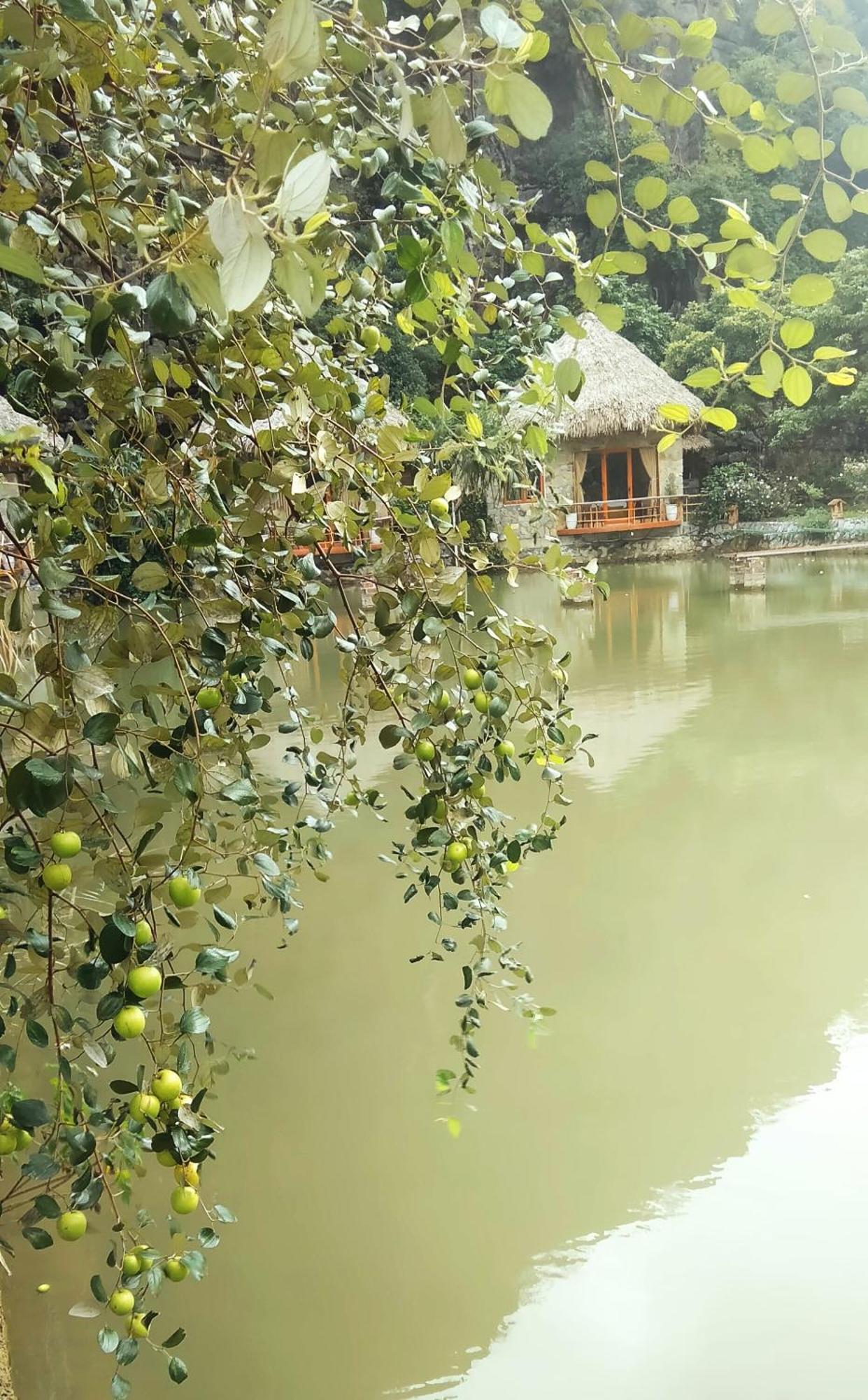 Xuan Son Hang Mua Eco Garden מראה חיצוני תמונה