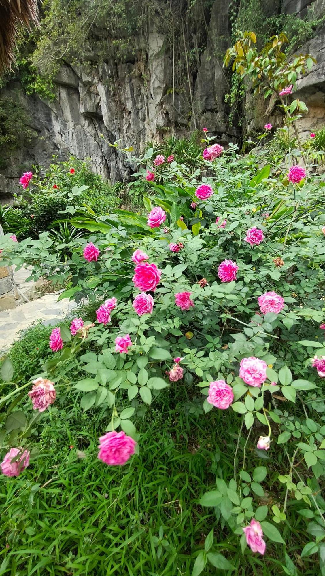 Xuan Son Hang Mua Eco Garden מראה חיצוני תמונה