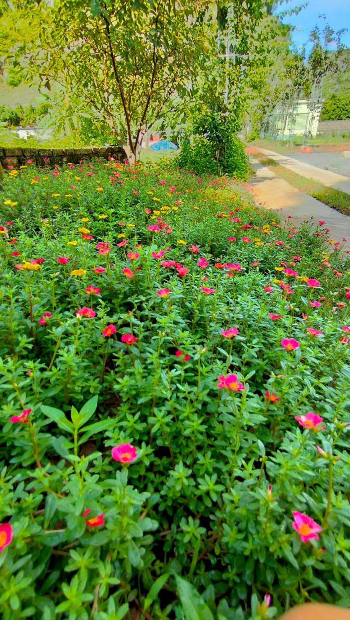 Xuan Son Hang Mua Eco Garden מראה חיצוני תמונה