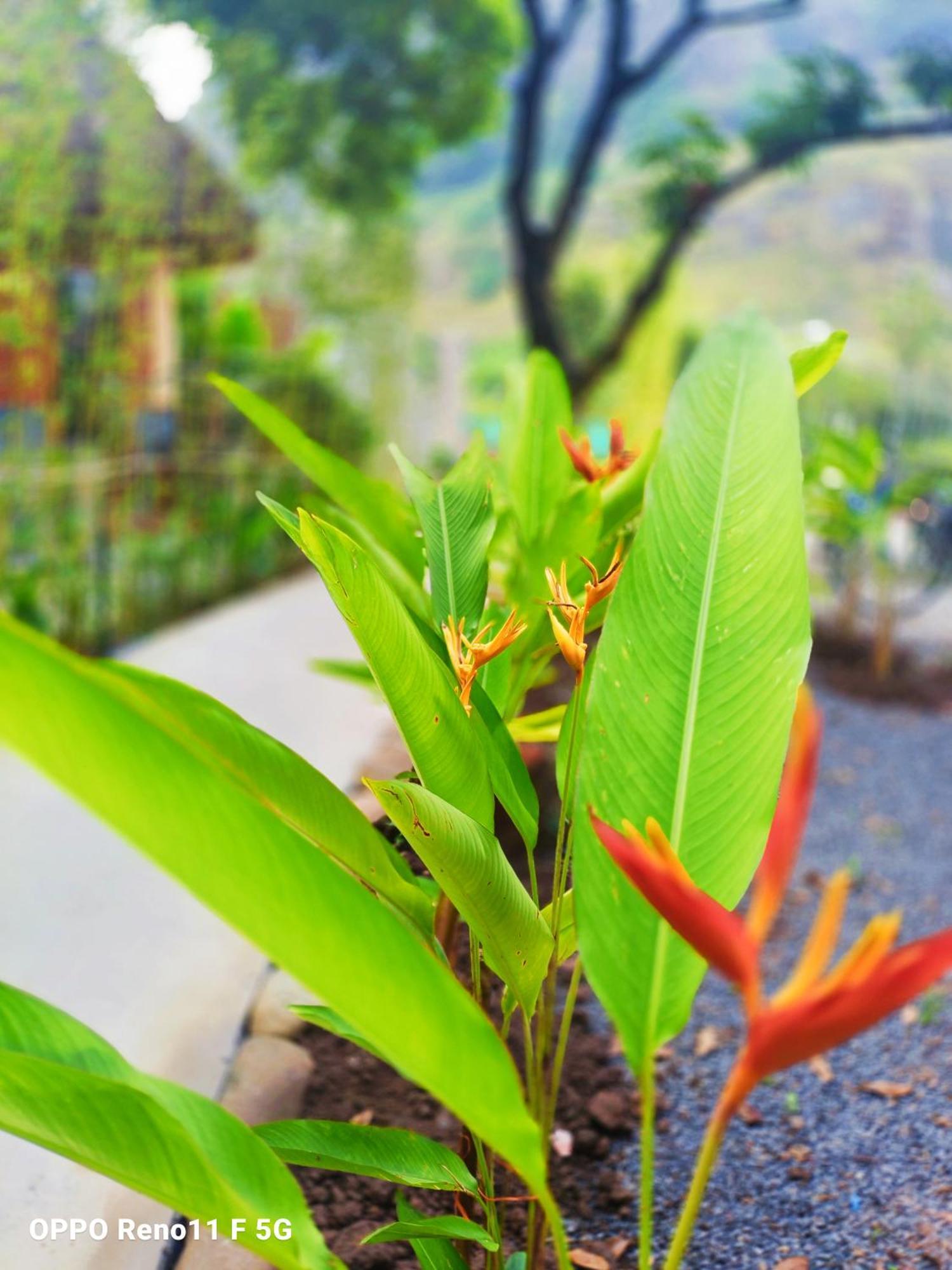 Xuan Son Hang Mua Eco Garden מראה חיצוני תמונה