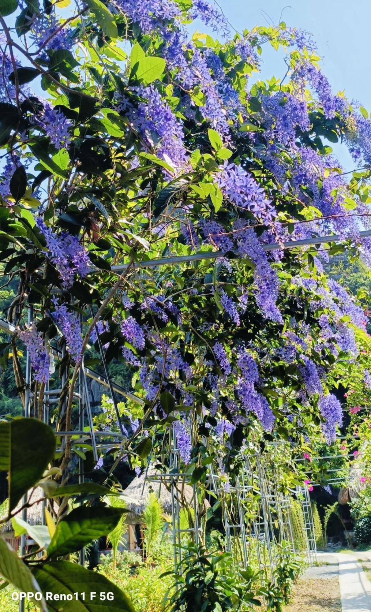 Xuan Son Hang Mua Eco Garden מראה חיצוני תמונה