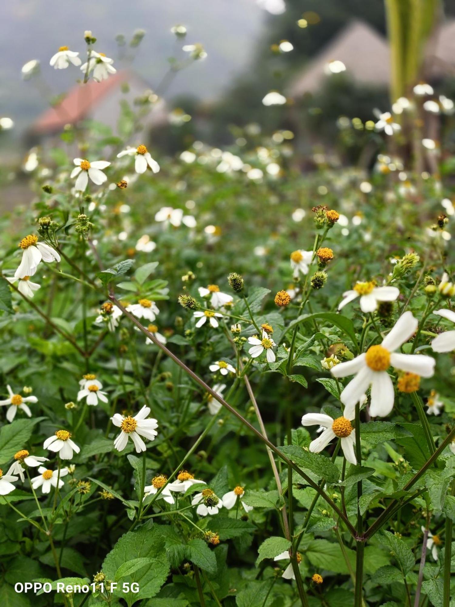 Xuan Son Hang Mua Eco Garden מראה חיצוני תמונה